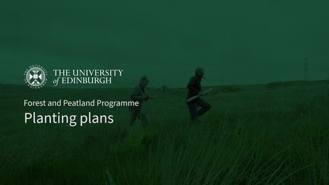 Thumbnail for Forest and peatland programme: planting plans