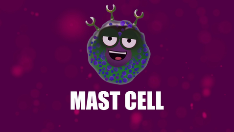 Thumbnail for entry Supercytes - How to say 'Mast cell'