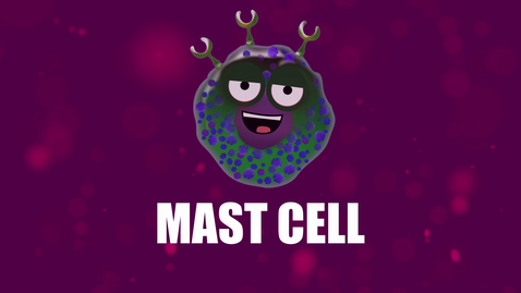 Thumbnail for Supercytes - How to say 'Mast cell'