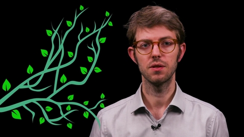 Thumbnail for Pruning
