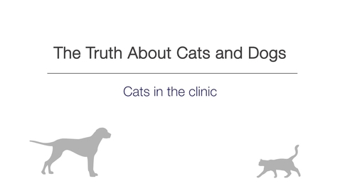 Thumbnail for Week 5 - Cats in the clinic