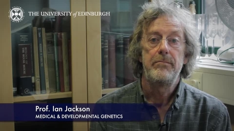Thumbnail for Ian Jackson -Medical &amp; Developmental Genetics - Research In A Nutshell- MRC Institute of Genetic and Molecular Medicine-21/05/2015