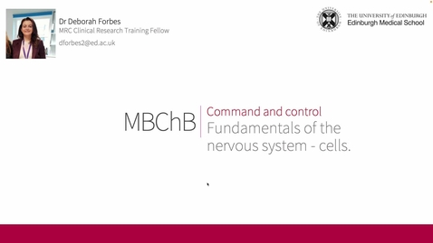 Thumbnail for Command &amp; Control - Cells