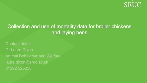 Thumbnail for entry Mortality data in poultry