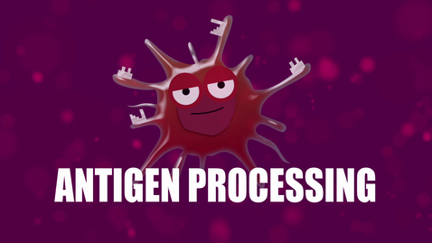 Thumbnail for entry Supercytes - How to say 'Antigen processing'