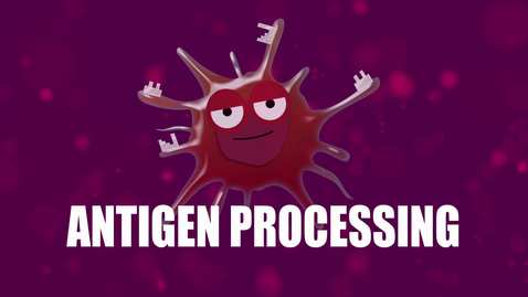 Thumbnail for Supercytes - How to say 'Antigen processing'