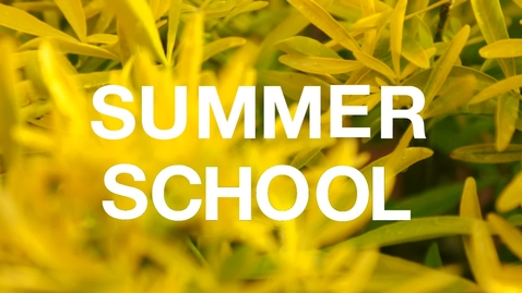 Thumbnail for entry LEAPS Summer School