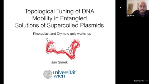 Thumbnail for Jan Smrek