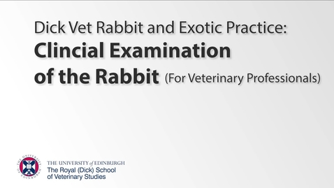 Thumbnail for entry Clinical Examination of the Rabbit