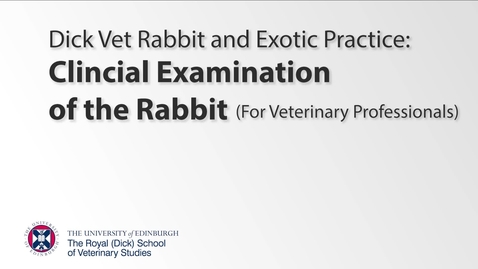 Thumbnail for Clinical Examination of the Rabbit