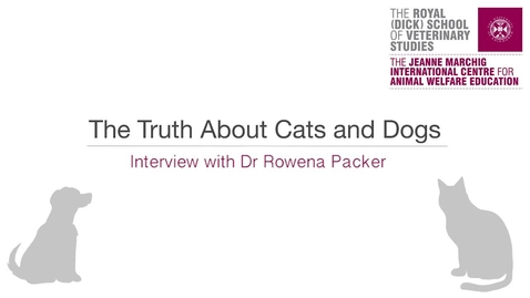 Thumbnail for entry Dog genetics - interview with Dr Rowena Packer