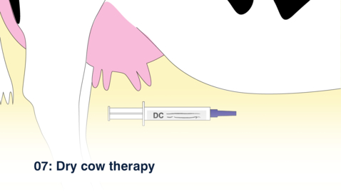 Thumbnail for entry 07 Dry Cow Therapy - Amharic