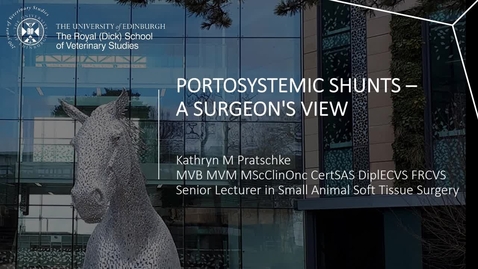 Thumbnail for Vet Clinical Club - 5th April 2023 - Kathryn Pratschke