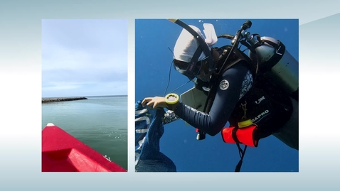 Thumbnail for Example Research: Impact of Nitrogen on Coral - Marine Pollution