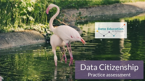 Thumbnail for Data Citizenship Level 4-5 Zoo activity Part 4a