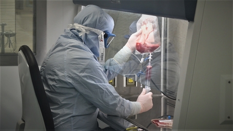 Thumbnail for Cell therapy spinout targets liver repair treatment