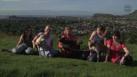 Thumbnail for Animal Behaviour &amp; Welfare course trailer