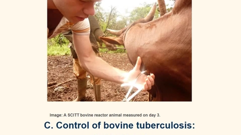 Thumbnail for Bovine Tuberculosis - An International Perspective on Diagnosis and Control 3