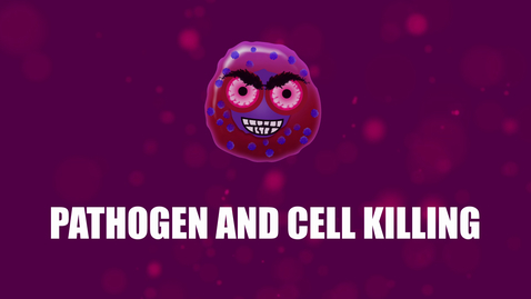 Thumbnail for entry Supercytes - How to say 'Pathogen and cell killing'