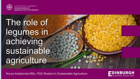 Thumbnail for The role of legumes in achieving sustainable agriculture
