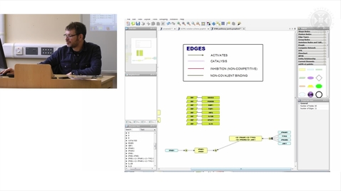 Thumbnail for 11. Practical Session: IFNB Pathway Description &amp; Diagram