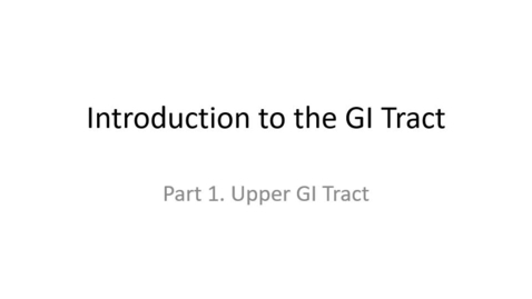 Thumbnail for entry Introduction to the GI tract  upper GI tract