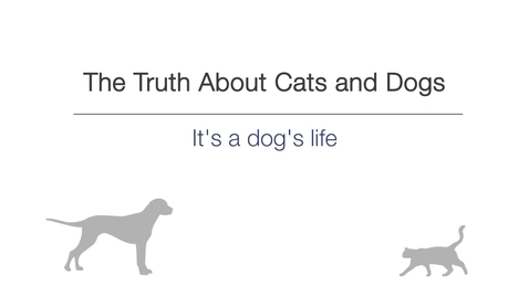 Thumbnail for Week 5 - It's a dog's life