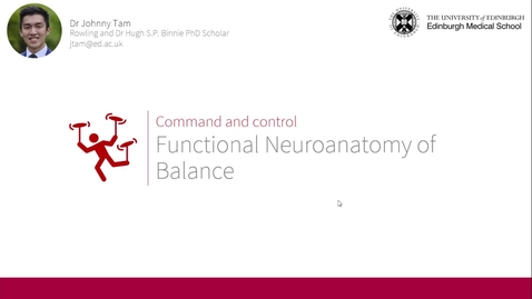 Thumbnail for Command &amp; control: Functional neuroanatomy of balance