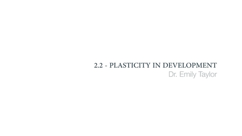 Thumbnail for entry Clinical Psychology of Children and Young People - Plasticity in development