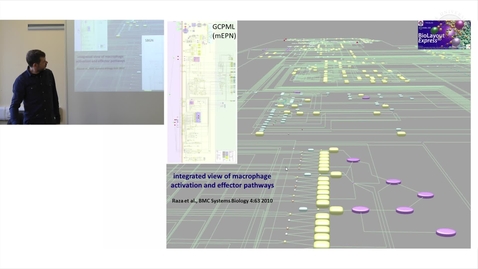 Thumbnail for 13. Framework Map of Macrophage Signalling Pathways (Lecture)