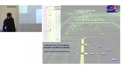 Thumbnail for entry 13. Framework Map of Macrophage Signalling Pathways (Lecture)