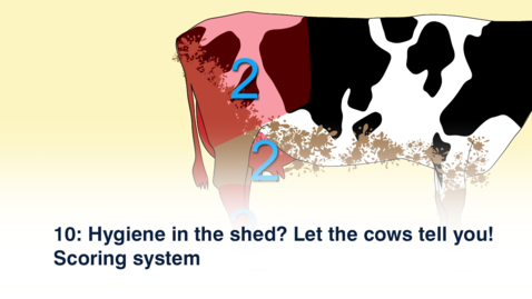 Thumbnail for 10 Hygiene Scoring - Amharic