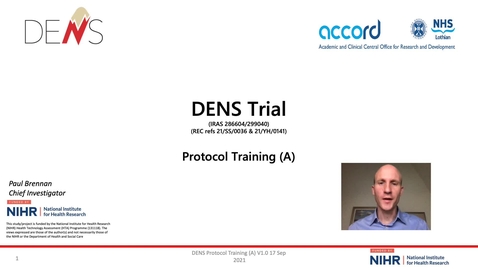 Thumbnail for DENS SIV background Training slides