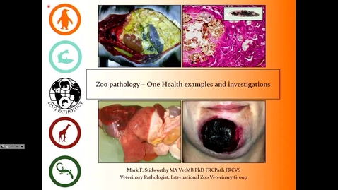 Thumbnail for Saturday 14:45 - Mark Stidworthy: Zoo pathology – One Health examples and investigations