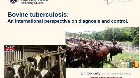 Thumbnail for entry Bovine Tuberculosis - An International Perspective on Diagnosis and Control 1