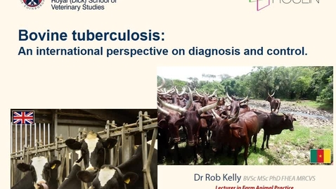 Thumbnail for Bovine Tuberculosis - An International Perspective on Diagnosis and Control 1