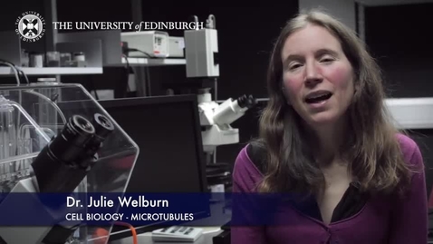 Thumbnail for entry Julie Welburn - Cell Biology- Microtubules - Research In A Nutshell - School of Biological Sciences -27/05/2015