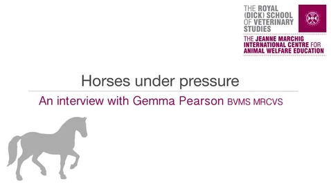 Thumbnail for entry Interview 3-1 Horses Under Pressure.mp4