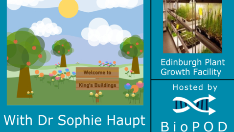 Thumbnail for Campus Conservation with Dr Sophie Haupt