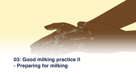 Thumbnail for entry 03 Good Milking Practice II - Preparing for Milking - Oromiya