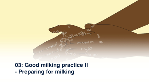 Thumbnail for 03 Good Milking Practice II - Preparing for Milking - Oromiya