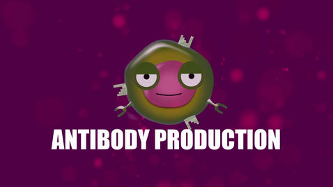 Thumbnail for entry Supercytes - How to say 'Antibody production'