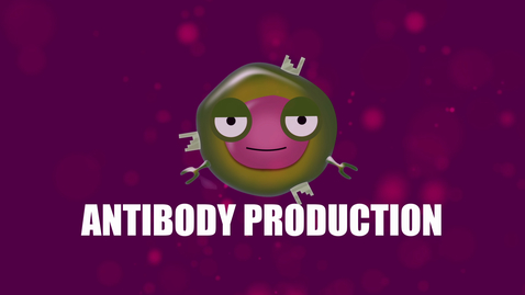 Thumbnail for Supercytes - How to say 'Antibody production'