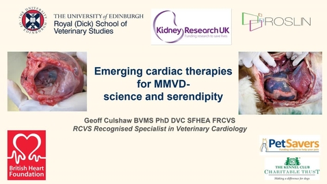 Thumbnail for entry Vet Clinical Club - 6th December 2023 - Geoff Culshaw