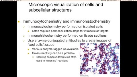 Thumbnail for entry Microscopy of cells and tissues