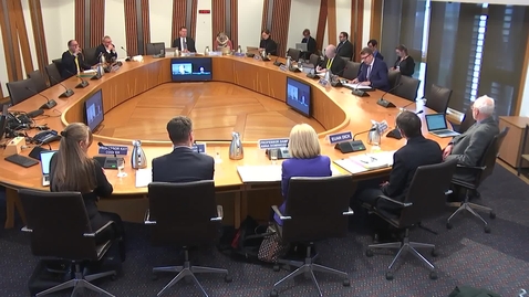 Thumbnail for EAVE II at Scottish Parliament Long COVID Inquiry (09/03/2023) (part 2)