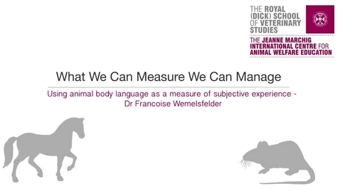 Thumbnail for Interview 2-1 Using Animal Body Language as a Measure of Subjective Experience.mp4