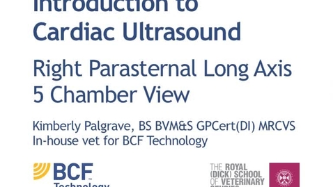 Thumbnail for entry Cardiac Ultrasound Video 5 - Right parasternal long axis 5 chamber view