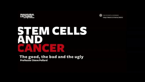 Thumbnail for Stem cells and cancer: the good, the bad and the ugly