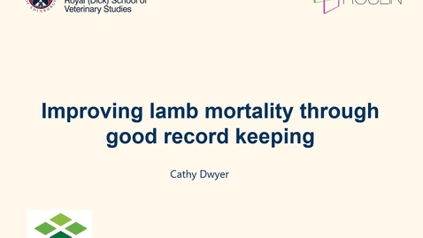 Thumbnail for Reducing lamb mortality